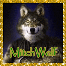 a picture of a wolf with the name mitchwolf on it