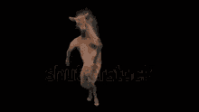 Dancing Horse GIF - Dancing Horse GIFs