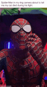 Brendan Brendan Holm GIF - Brendan Brendan Holm Spiderman GIFs