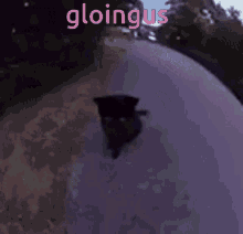 Gloingus That Yoinky Sploinky GIF - Gloingus That Yoinky Sploinky Cat GIFs