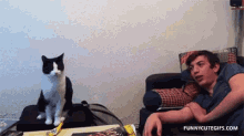 Kitty Gimmefive GIF - Kitty Gimmefive Reluctant GIFs
