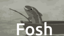 Fosh GIF - Fosh GIFs