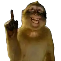 a monkey is smiling and pointing up with its middle finger
