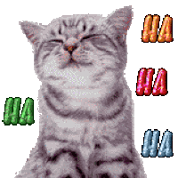 смех Cat Sticker - смех Cat Kitty Stickers