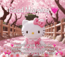 a hello kitty says good morning with a pink heart in the background