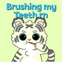 a cartoon of a cat brushing its teeth with the words brushing my teeth rn above it