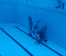 Underwater Rugby GIF - Underwater Rugby GIFs