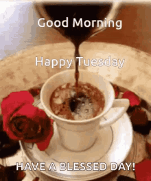 tuesday coffee rose good morning