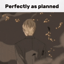 a picture of a man with the words perfectly as planned above it