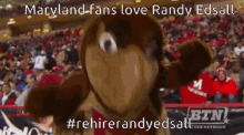 Maryland Football Randy Edsall GIF - Maryland Football Randy Edsall Maryland Bad GIFs