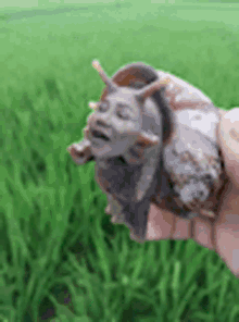 a person is holding a snail with a face on it in front of a field of grass .
