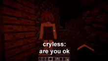 Minecraft Cryless GIF - Minecraft Cryless Youtuber GIFs