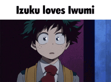 a picture of izuku from my hero academia with the caption izuku loves iwami