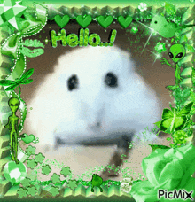 GIF