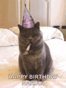 Cat Happy Birthday GIF - Cat Happy Birthday Hbd GIFs