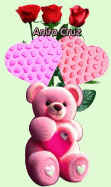 a pink teddy bear holding a pink heart with the name anita cruz written on it