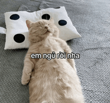 a cat laying on its back next to a pillow that says em ngu roi nha on it