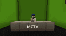 Mctv Minecrafttelevision GIF - Mctv Minecrafttelevision Newsreporter GIFs