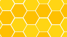 World Bee Day Save The Bees GIF