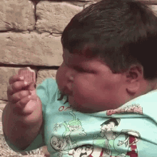 Fatty Which One GIF - Fatty Which One Biscuits GIFs