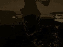 a horse is standing in the dark near a car