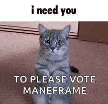 a cat is sitting on its hind legs with the words " i need you to please vote maneframe " above it