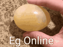 Egg Online GIF