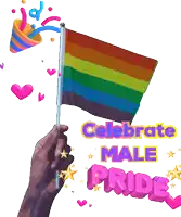 a hand holding a rainbow flag with the words " celebrate male pride " above it