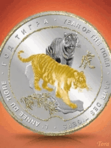 Coin Currency GIF - Coin Currency Shiny GIFs