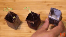 Make Your Own Seed Starter Pots! GIF
