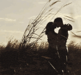 a man and woman kissing in a field with tall grass