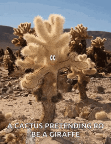 Cactus Cacti GIF - Cactus Cacti Dance GIFs