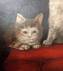 Renaissance Renaissancecat GIF - Renaissance Renaissancecat Weird Cat GIFs