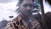 a man wearing a leopard print shirt is standing in front of a palm tree