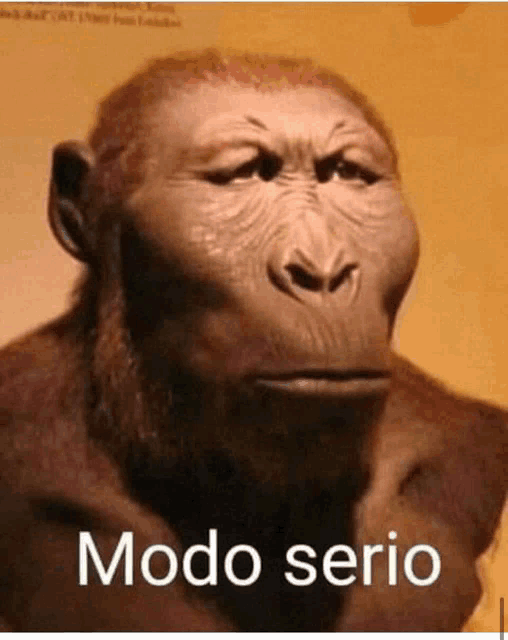 Modo Serio Mamaco Serio Meme - Modo Serio Mamaco Serio Macaco Modo Serio -  Discover & Share GIFs