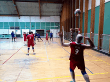 Service Volley GIF