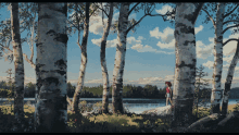 a painting of a person standing on a rock in the woods near a lake