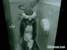 Bunny Lmao GIF - Bunny Lmao GIFs