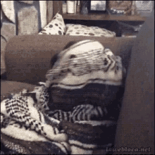 Say It To My Face GIF - Pug Blanket Cute GIFs