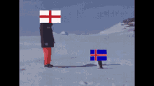 Iceland GIF