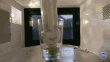 lampada fluorescente ibere thenorio manual do mundo lampada experimento