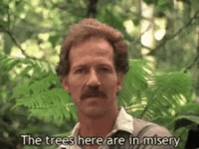 werner herzog the trees are