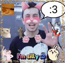 a picture of a man with a cat face mask and the words i 'm silly 3