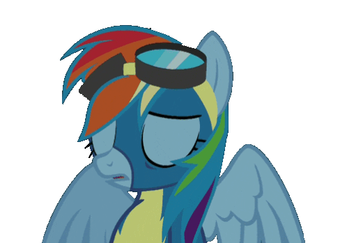 rainbow dash gif deal with it