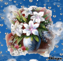 Hanstest Flower GIF - Hanstest Flower GIFs