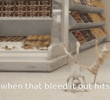 Bleed It Out Linkin Park GIF - Bleed It Out Linkin Park Fantastic Mr Fox GIFs