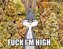 Bugs Bunny Fucking GIF - Bugs Bunny Fucking High GIFs