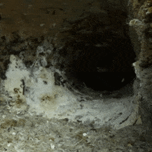 a hole in the ground with a lot of white foam