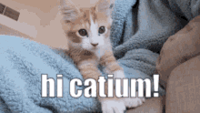 Catium Hi GIF - Catium Hi Hello GIFs