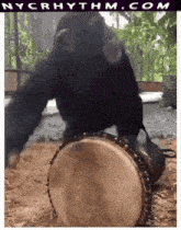 a picture of a gorilla playing a drum with nycrhythm.com written in the corner